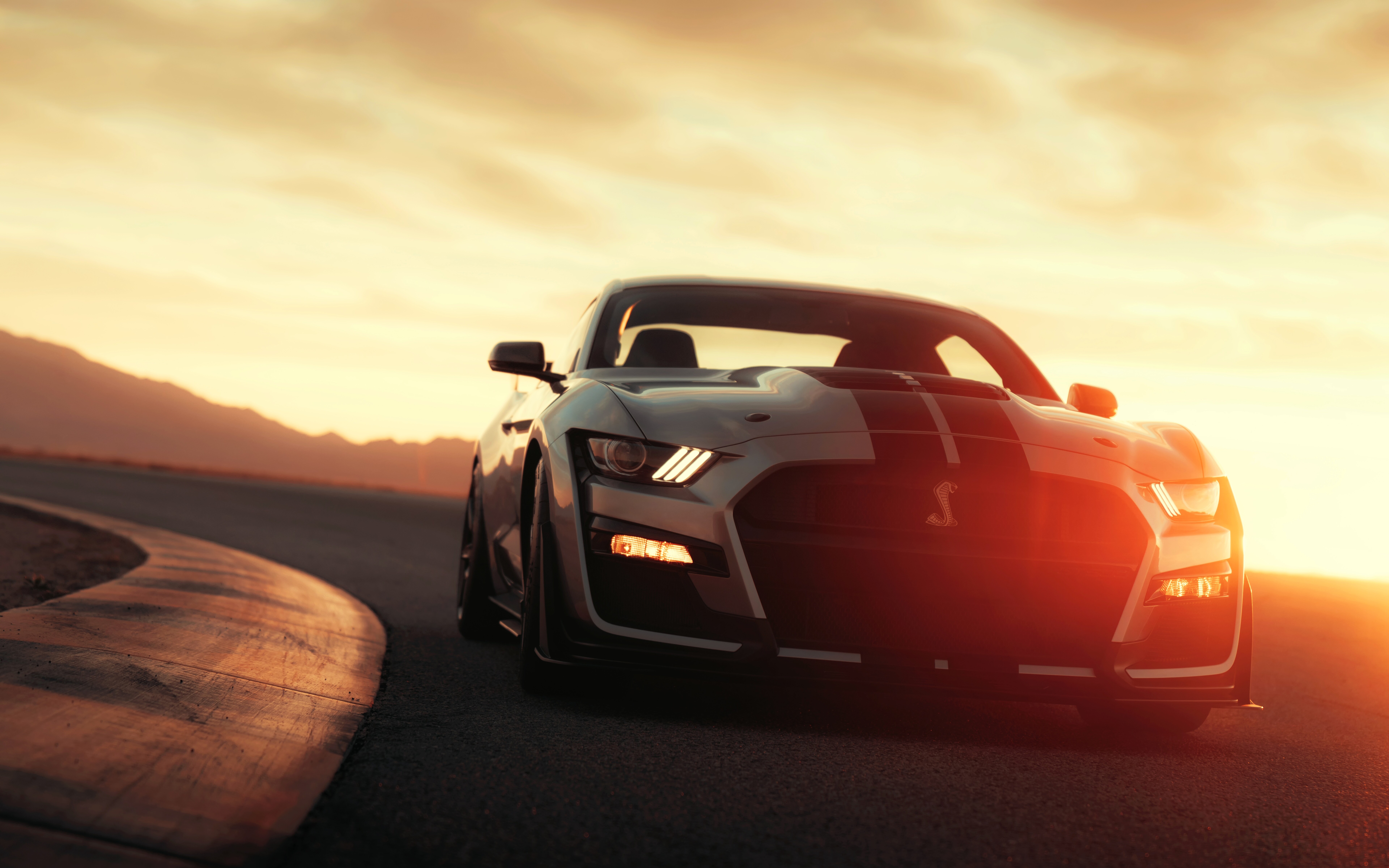 Um elegante Ford Mustang Shelby GT500 prateado, um carro esportivo potente, estava estacionado.